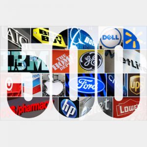 Fortune 500 Company