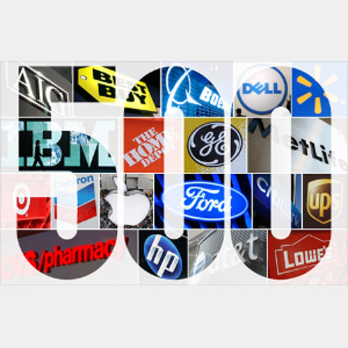 Fortune 500 Company